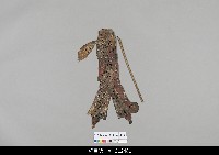 藏品(中國湖北皮影戲偶身-武旦)的圖片